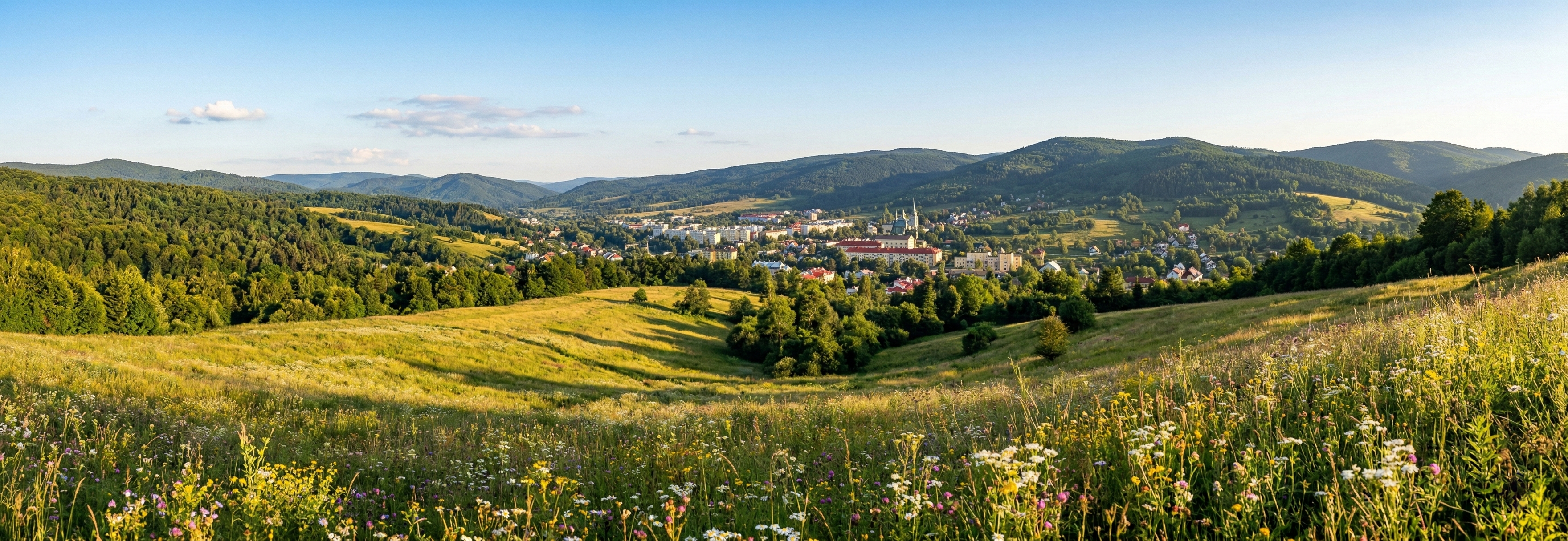 Ustrzyki Dolne i Bieszczady